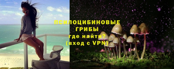 амф Дмитриев