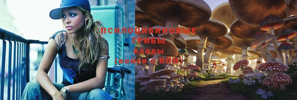 таблы Алексеевка