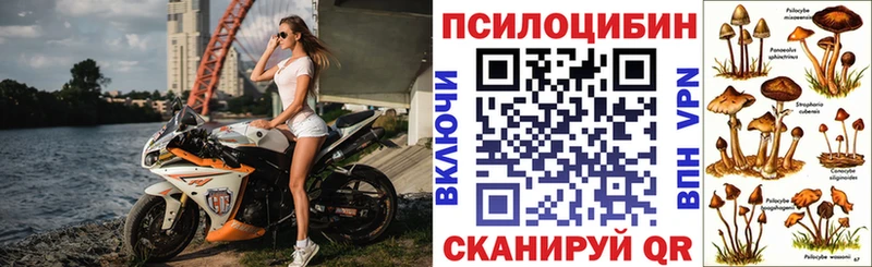 Галлюциногенные грибы мухоморы  Прохладный 